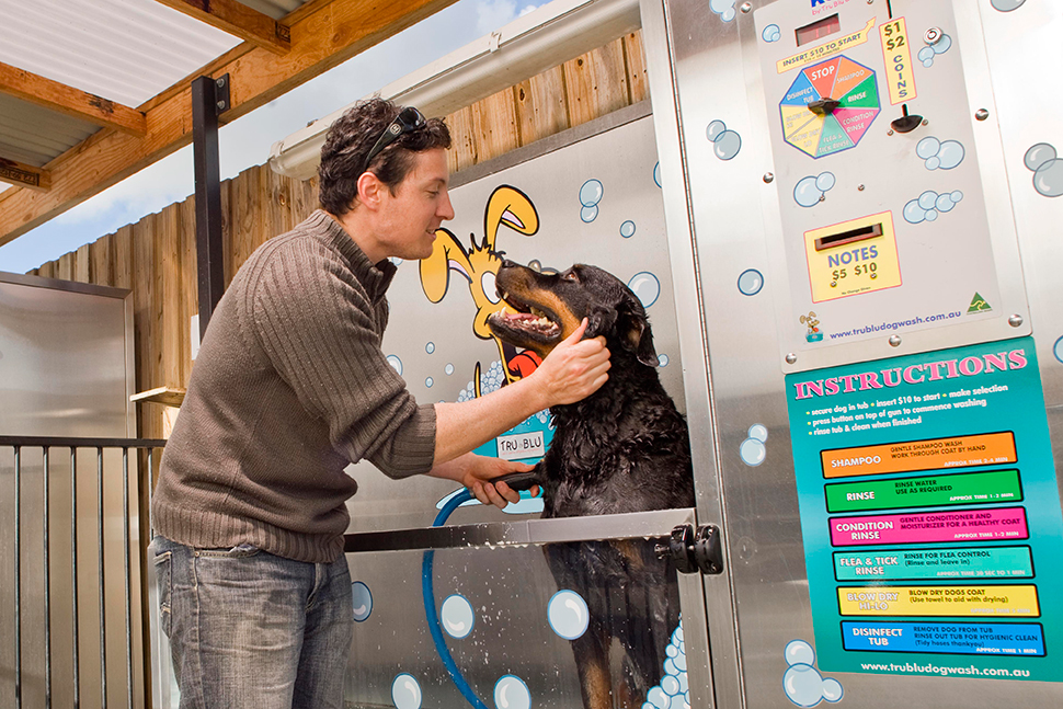 employee washing dog in dog wash